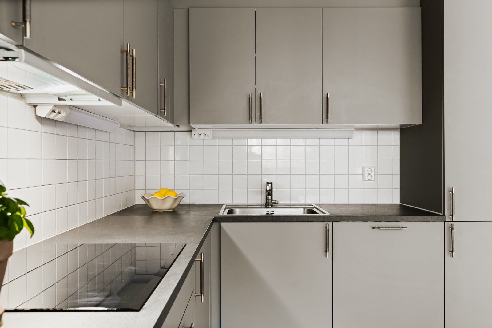 Integrerte hvitevarer fra Gorenje bestående av induksjonsplatetopp, komfyr, kombinert kjøl/fryseskap og oppvaskmaskin