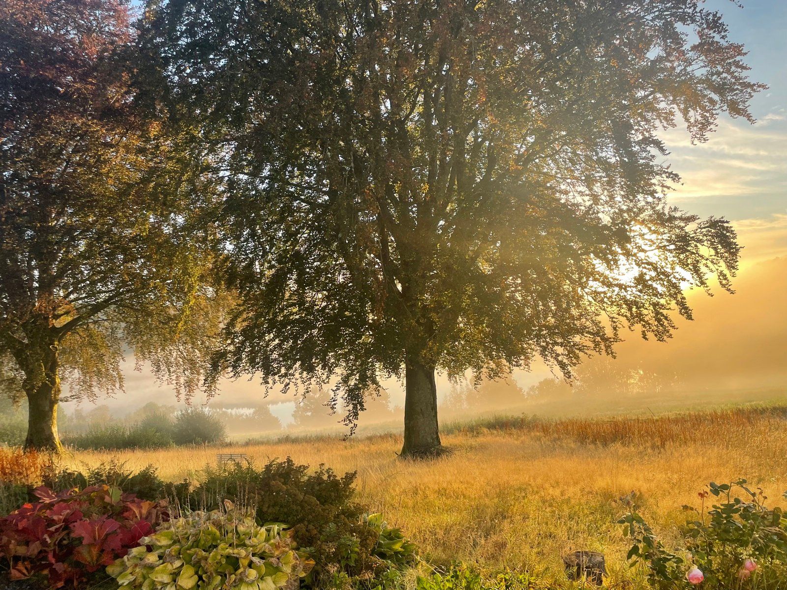 01Fasade_54