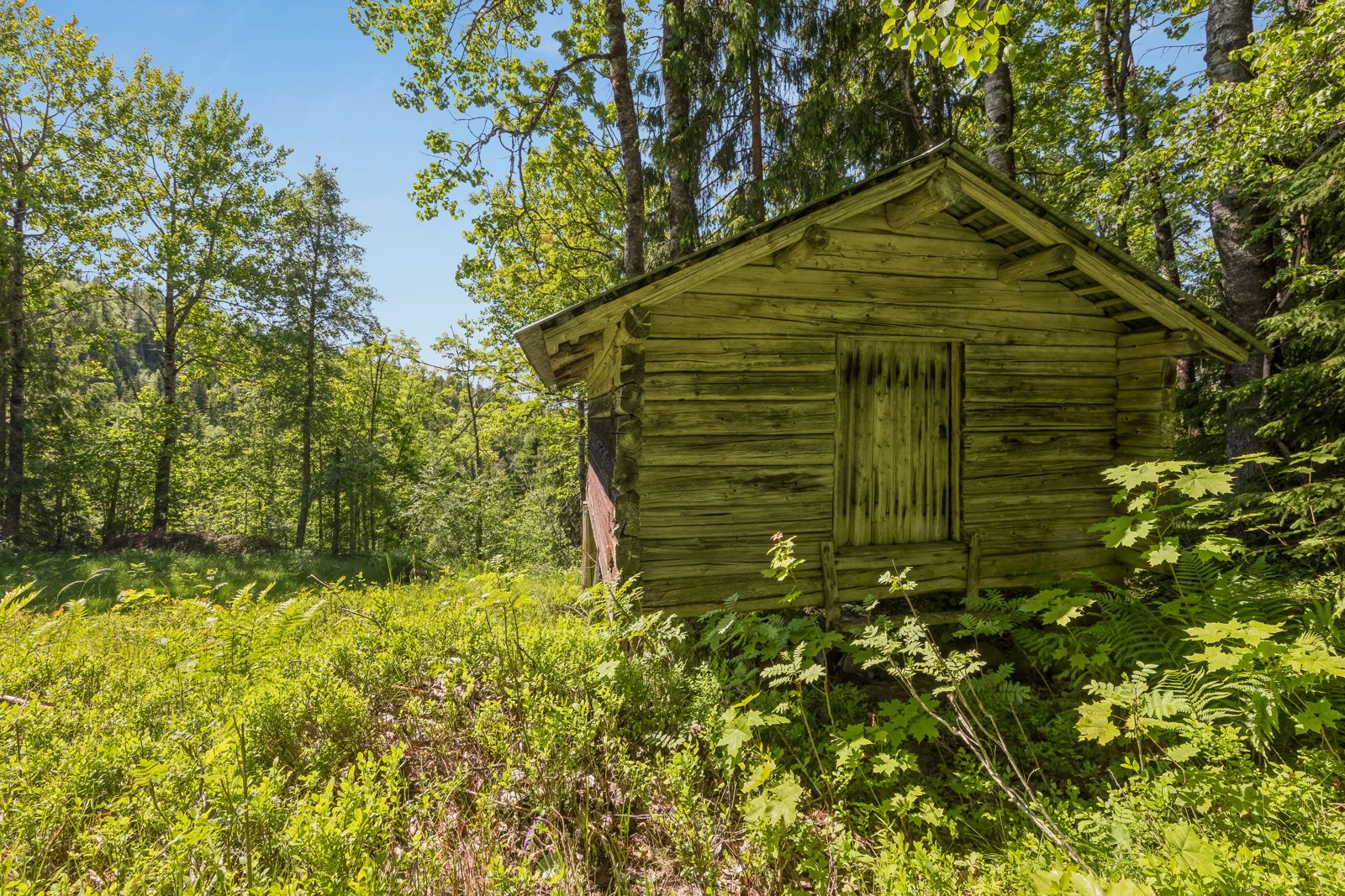 Vedskjulet på Rue