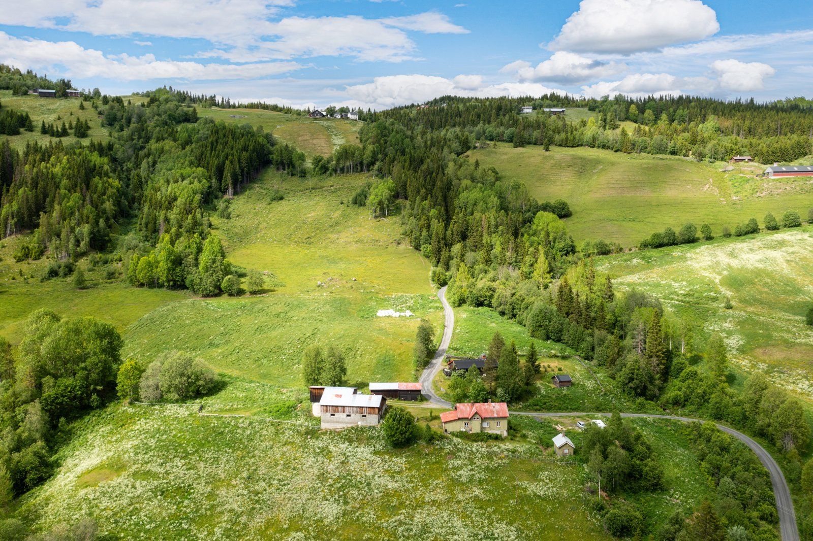 DJI_0908