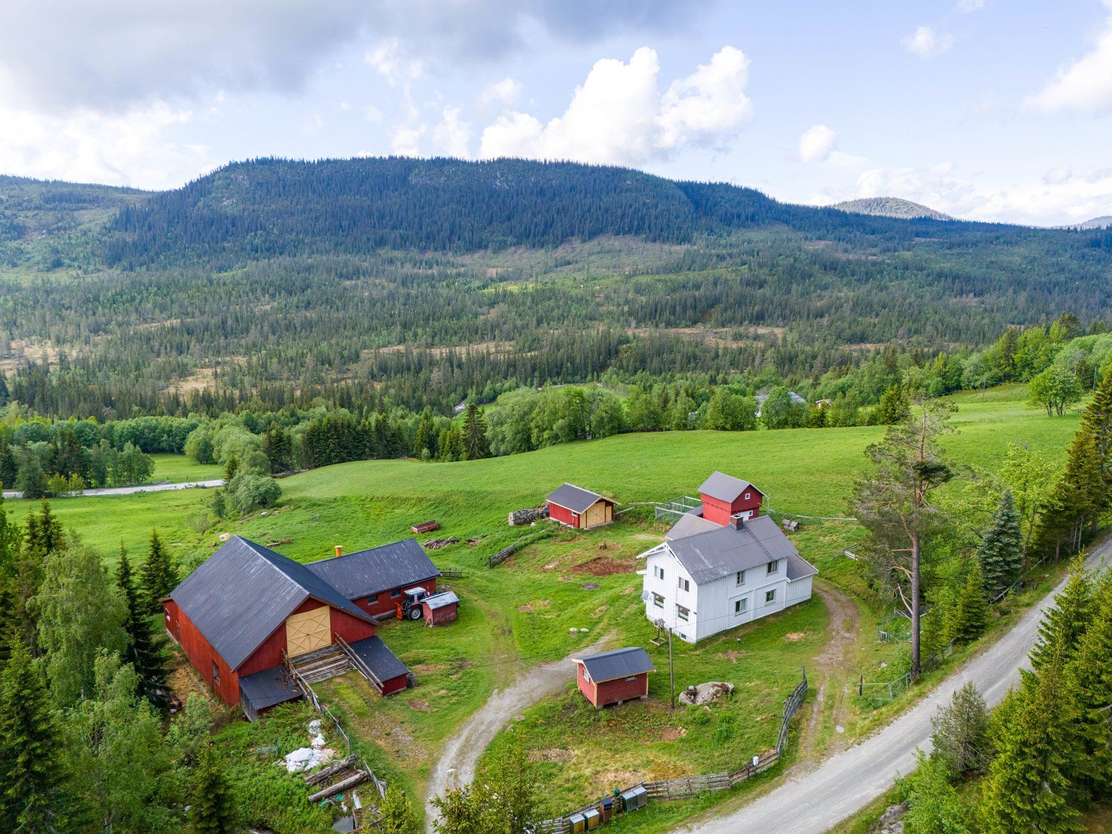 271884_DJI_20240528101916_0286_D