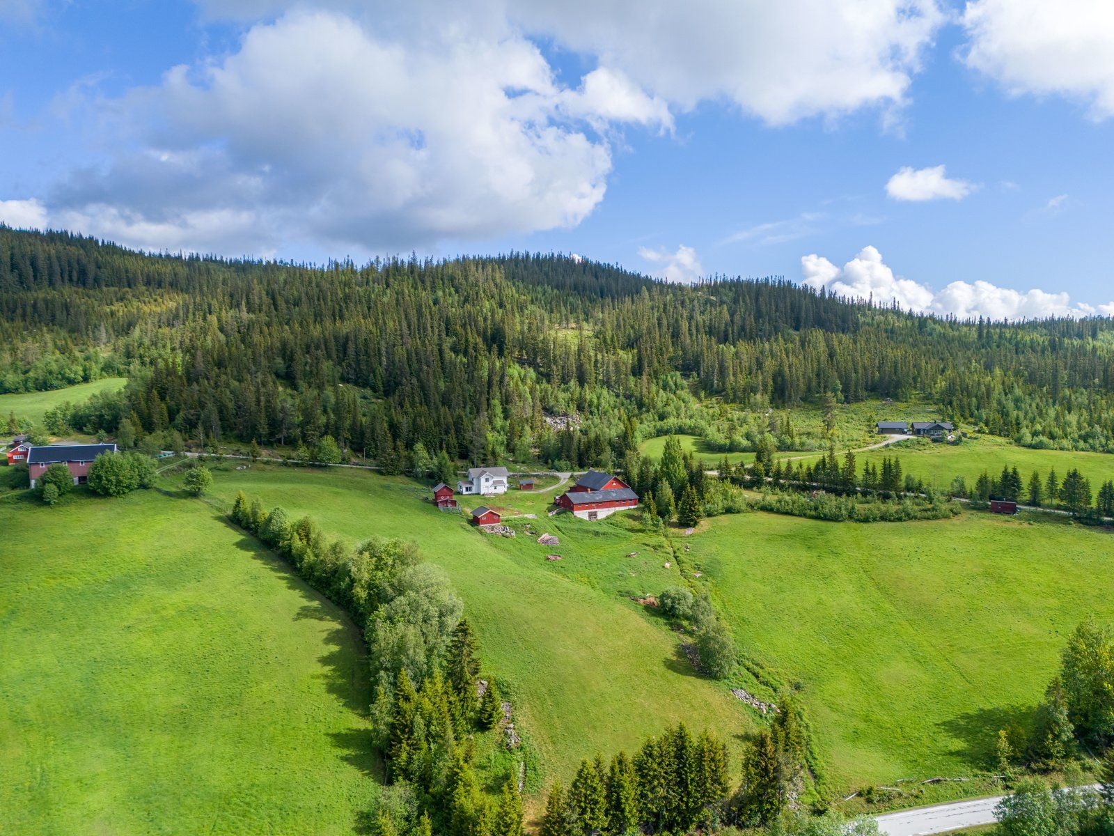 271884_DJI_20240528102308_0312_D