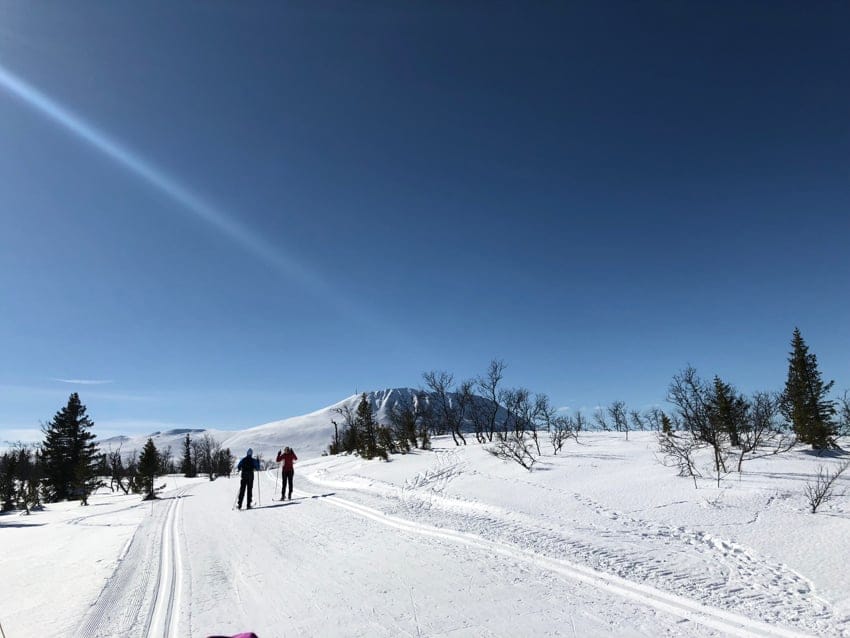 Langrenn og tur - fine langrennsløyper rundt Kvitåvatn og videre mot Gaustatoppen