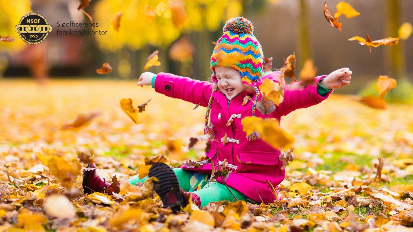 Norsk Sjøoffisersforbund