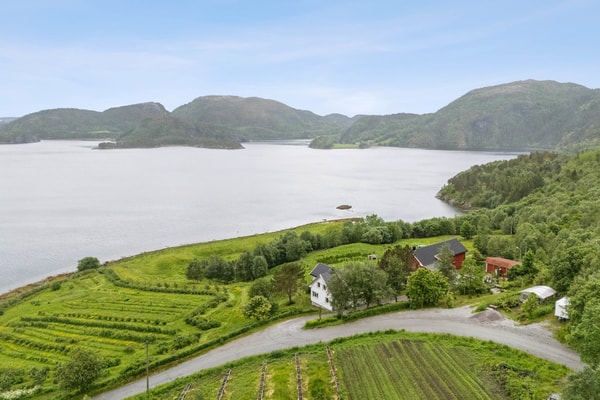 Gårdstun og område
