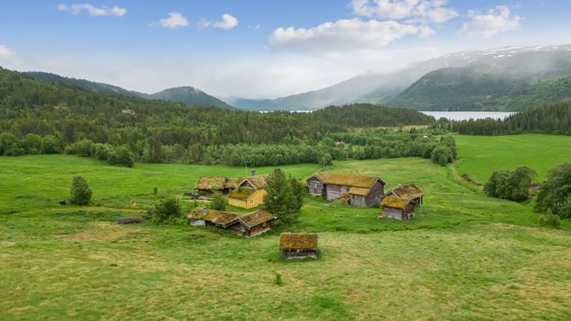 Velkommen til Landbrukseiendommen Nedre Mo i Vinje