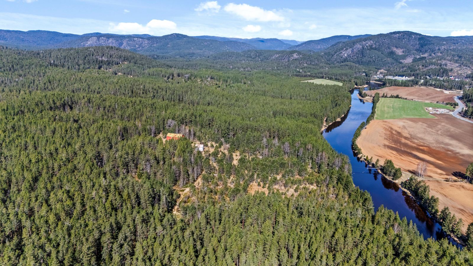 Eiendommen mot nord. Her får man en ide over hvor mye tømmer som er stående på eiendommen