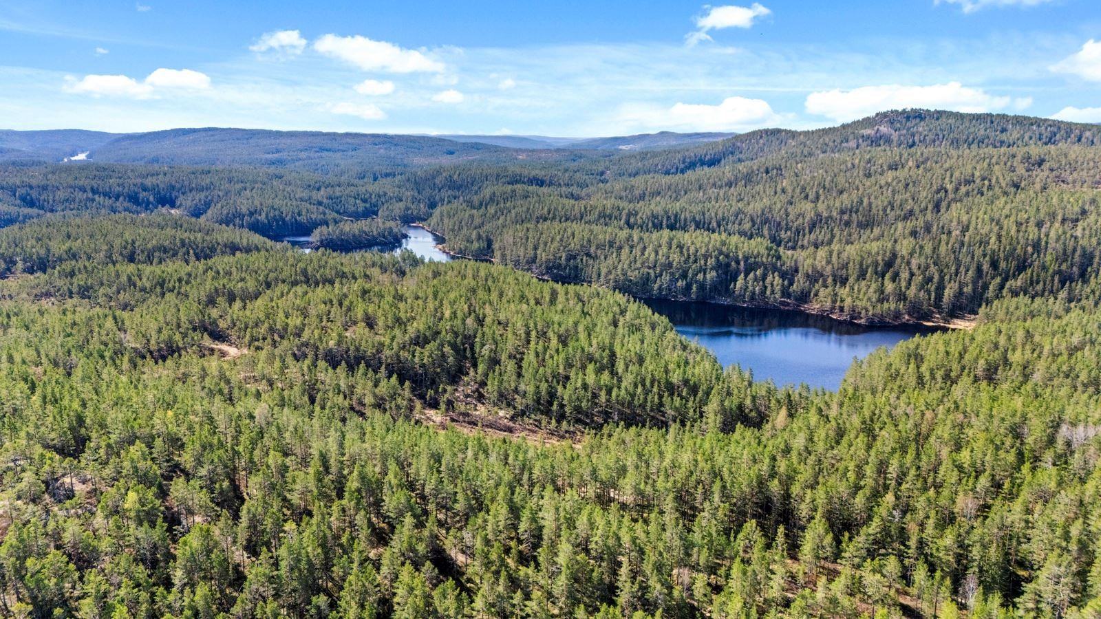 Ljosvatn mot vest 