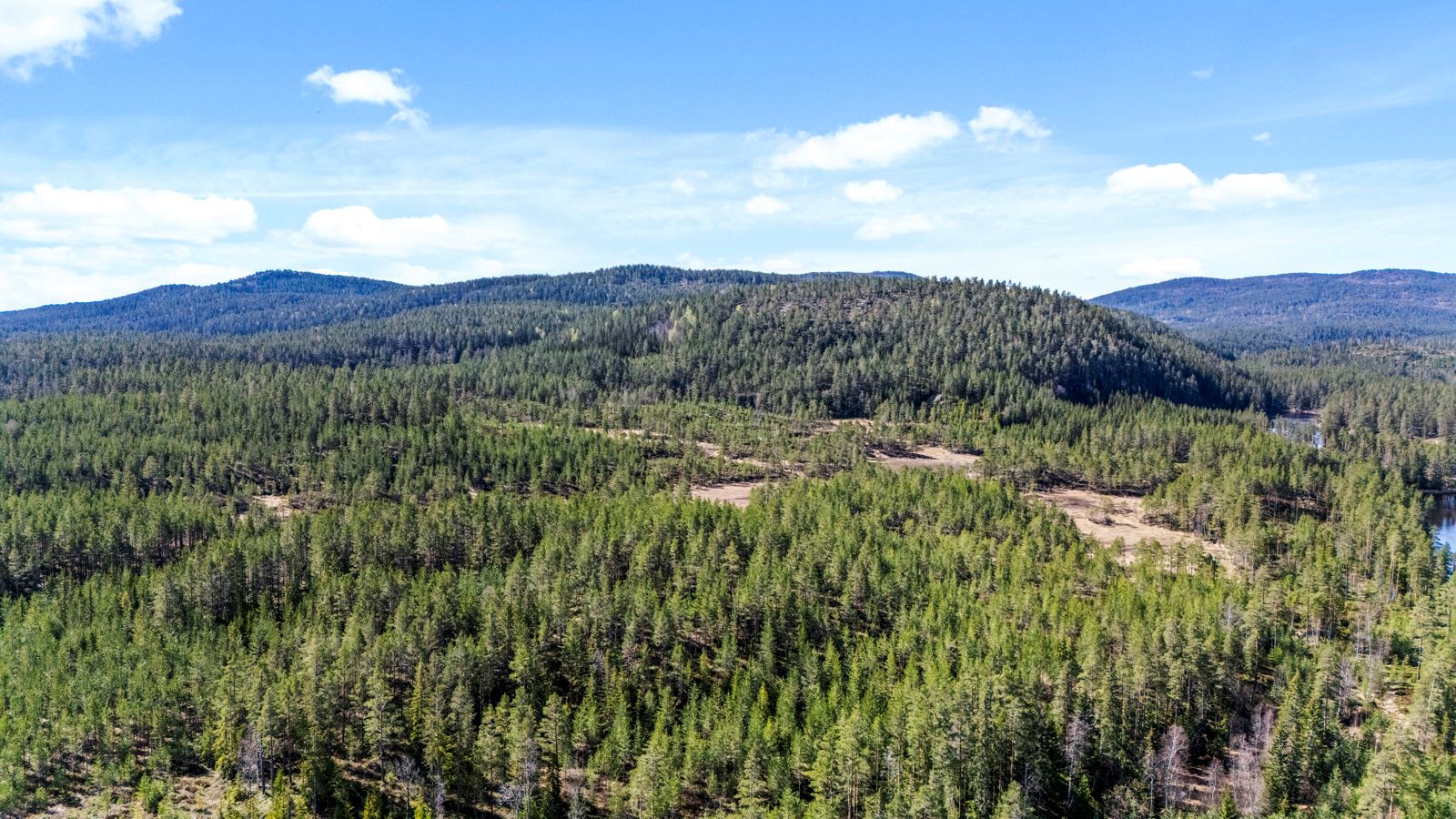 Bilde av Kjormofjellet som er en fin turmulighet på eiendommen