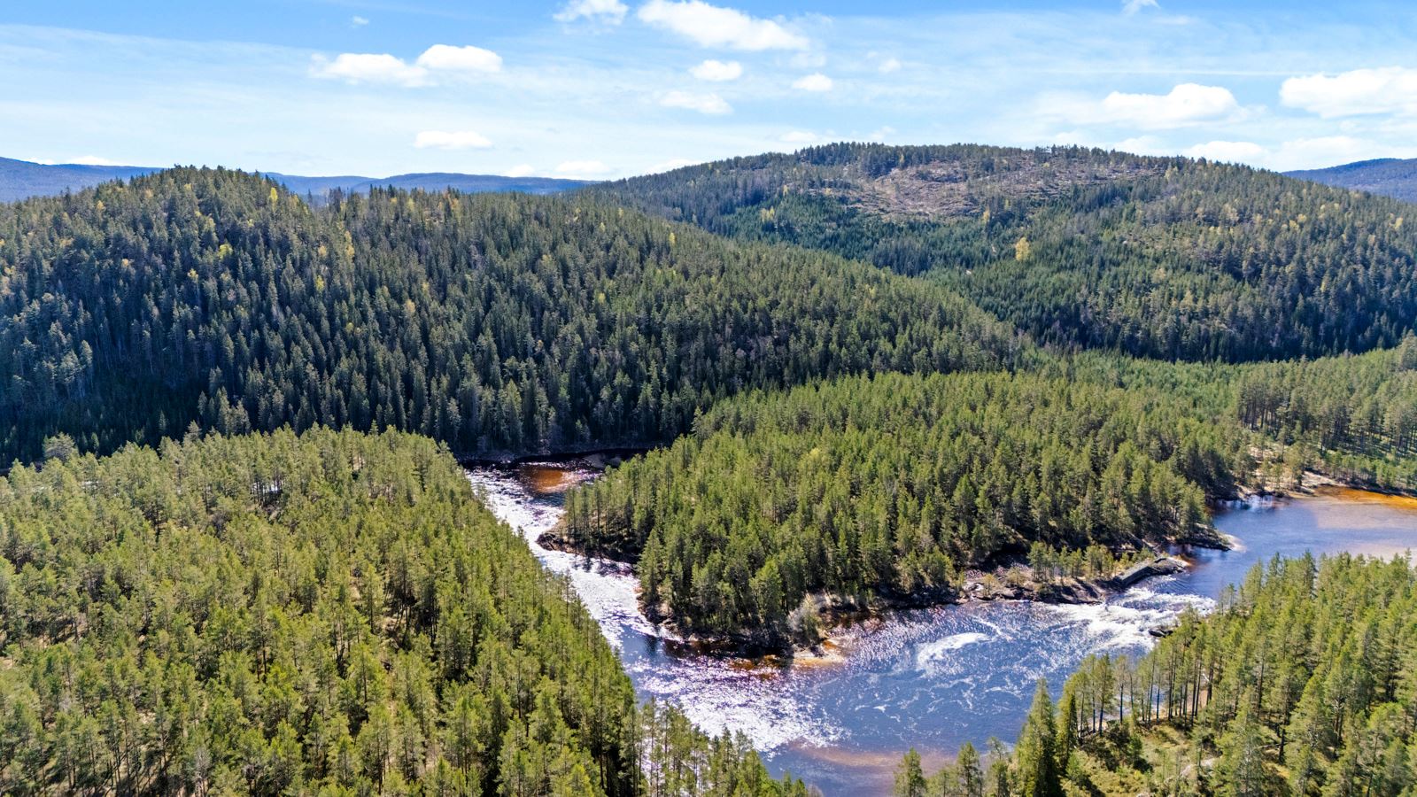 Idyllisk natur! Her er det bare å ta med fiskestanga. 