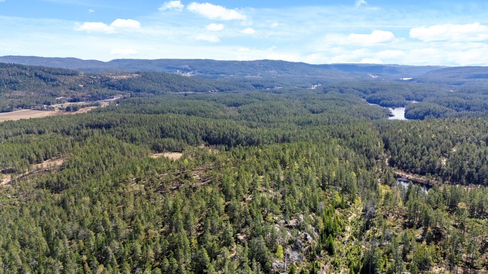 Bilde av Kjormofjellet som er en fin turmulighet på eiendommen