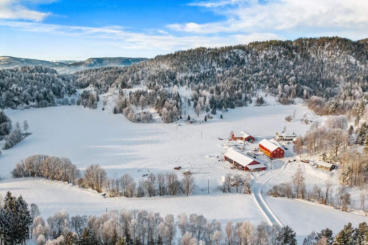 Velkommen til Nedre Vala gård på Valebø i Skien kommune