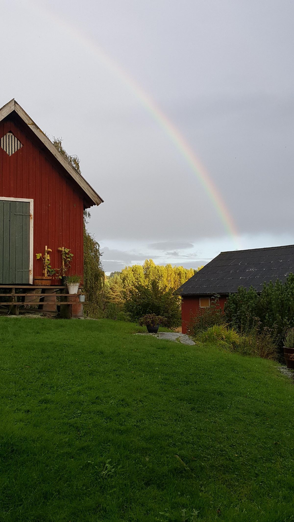 Regnbue på gårdstunet 