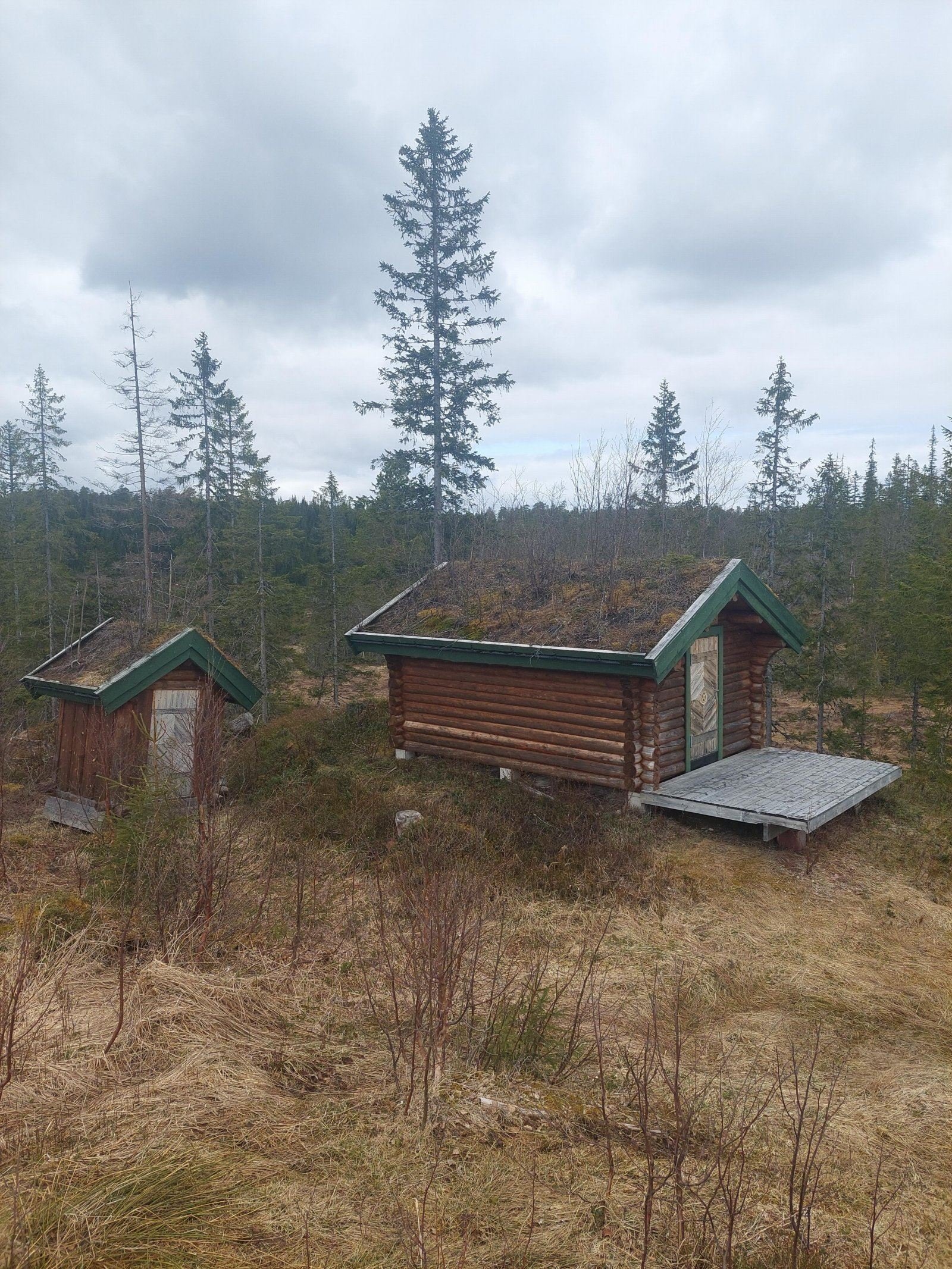 Skogshusvære
