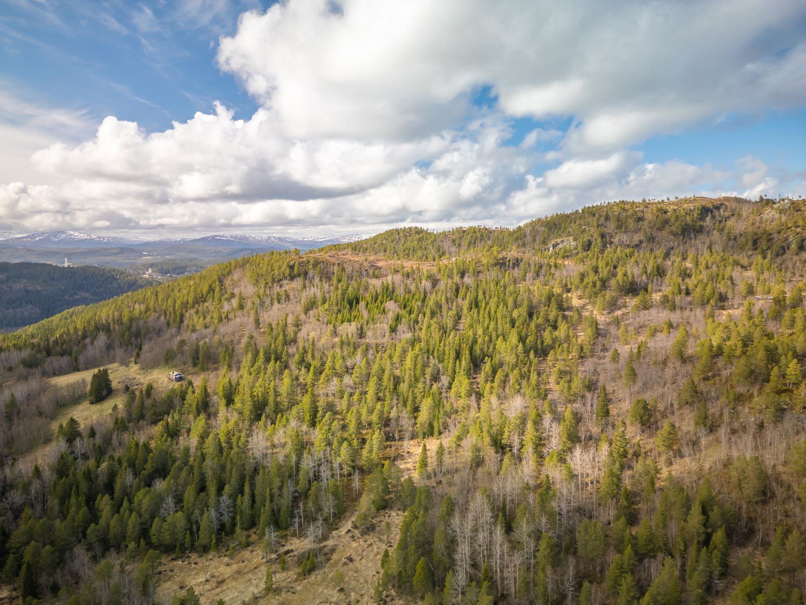 Dronefoto