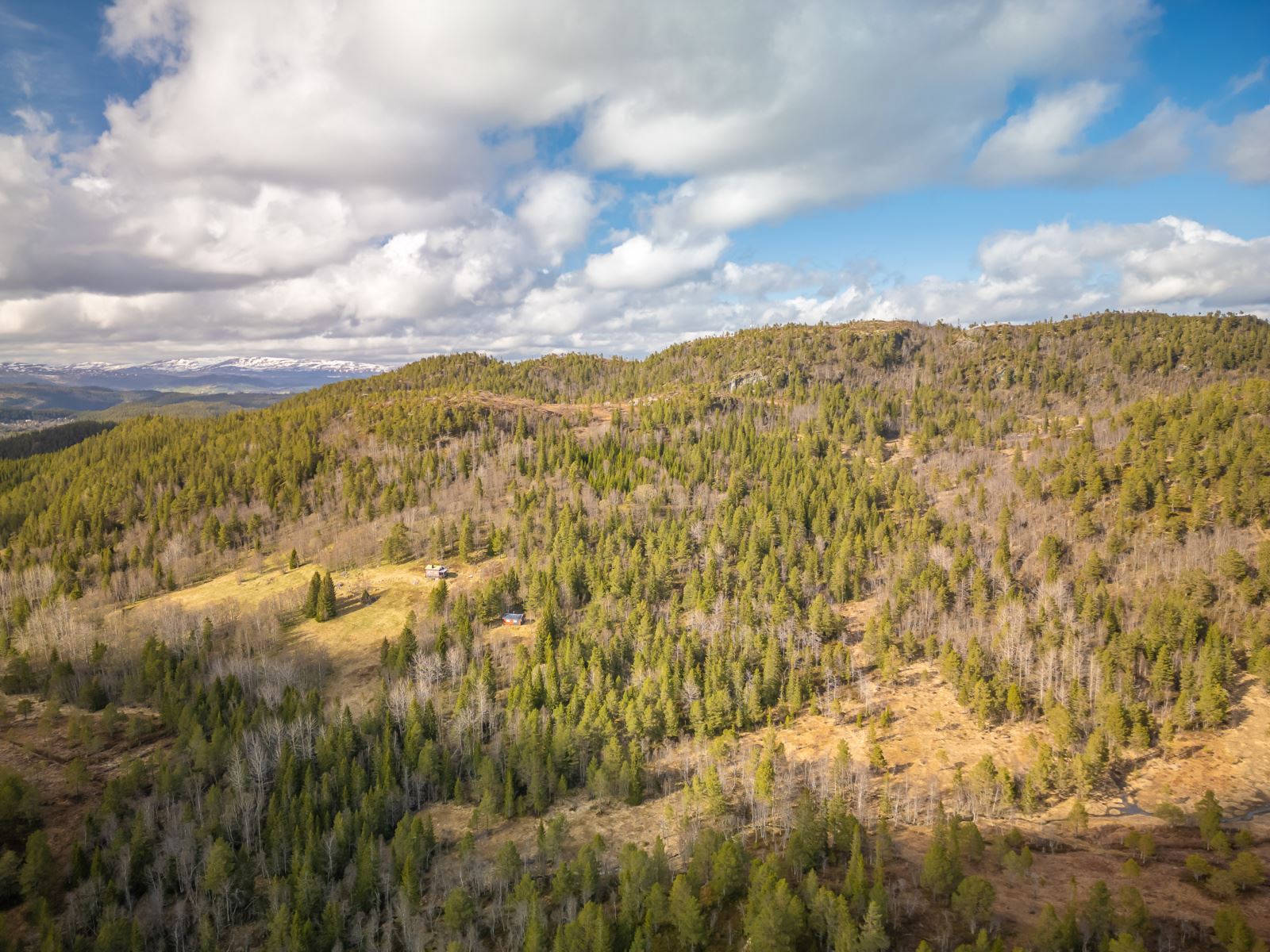 Dronefoto