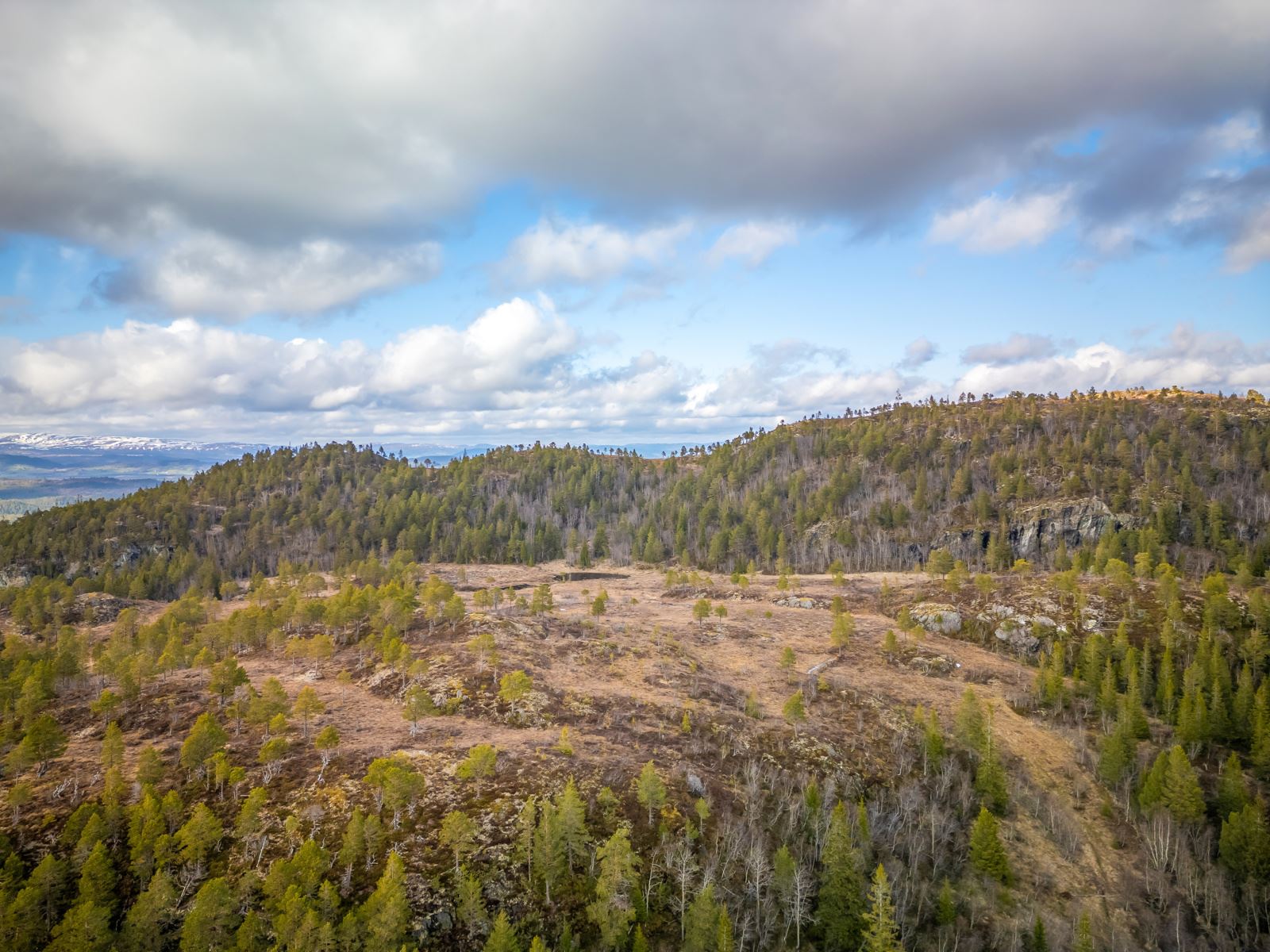 Dronefoto