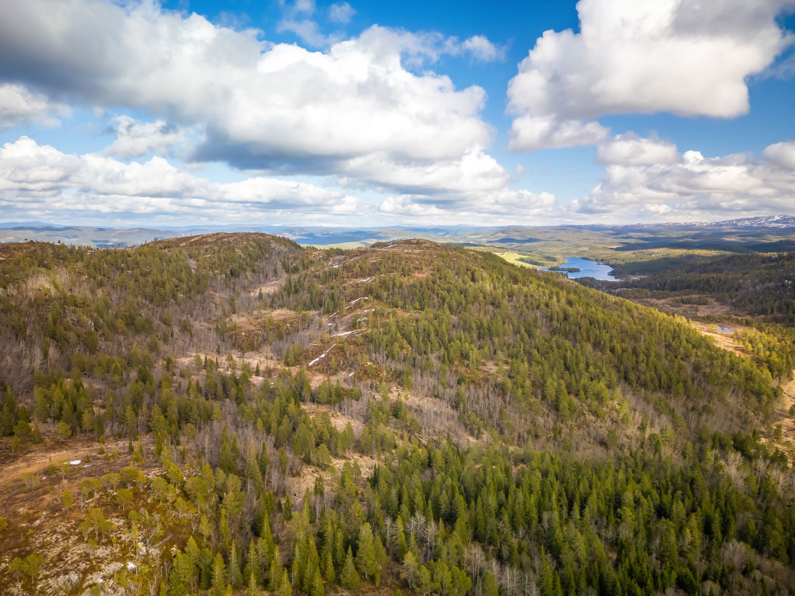 Dronefoto