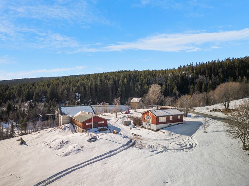 Gårdstun