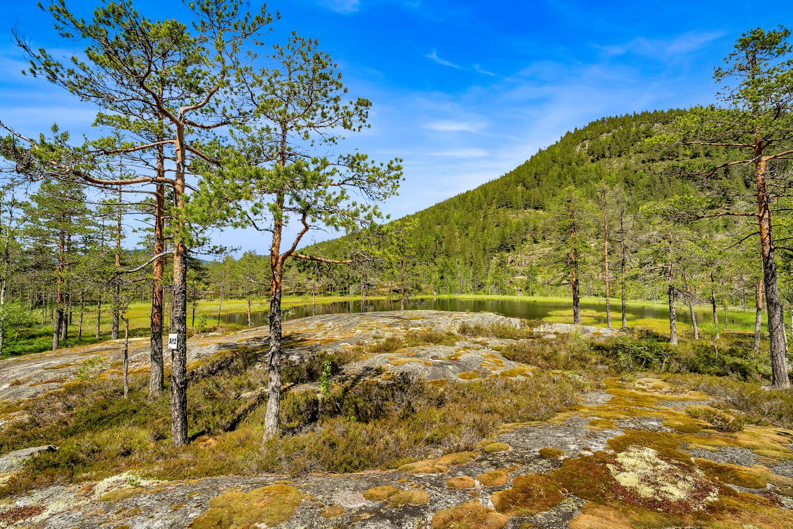 En av tomtene på Vigård med en svært god intern beliggenhet