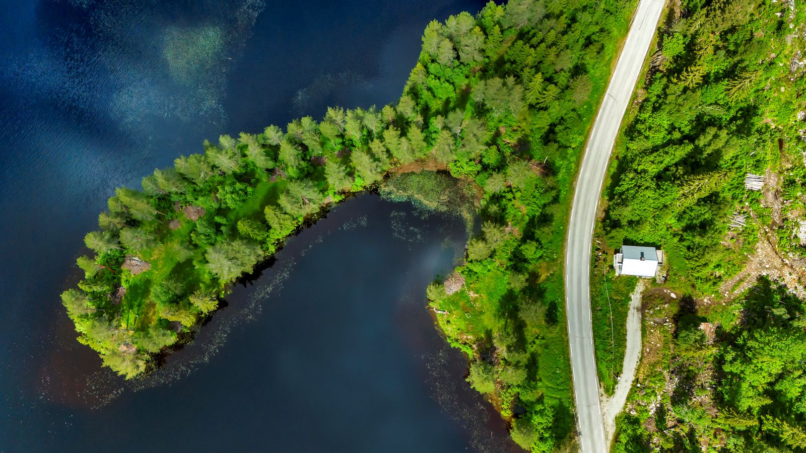Egen halvøy ut i Sønnlandsvatnet