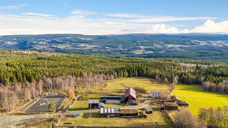 Gårdstun