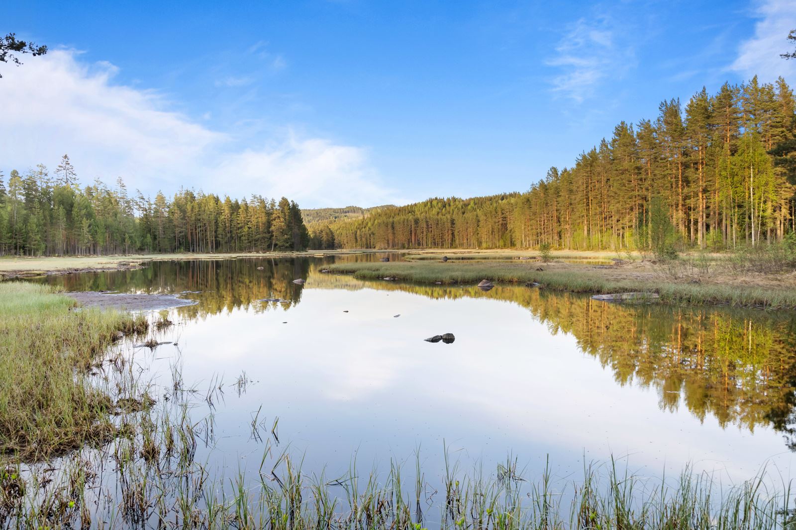 Områdebilde