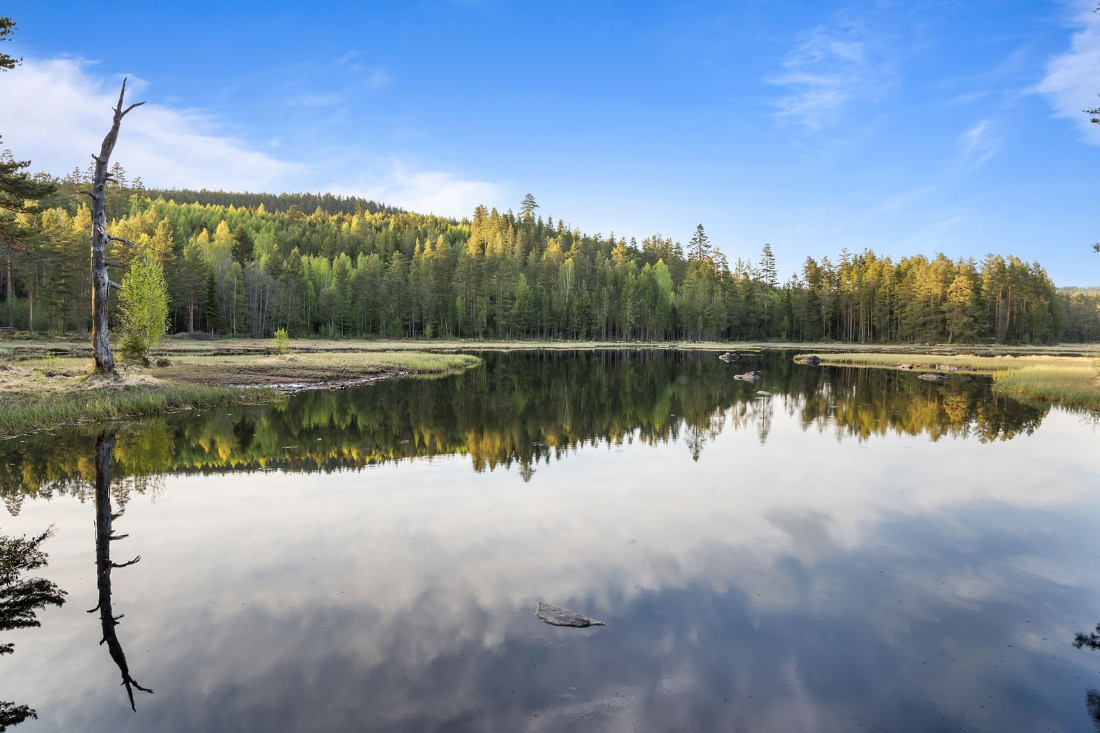 Områdebilde