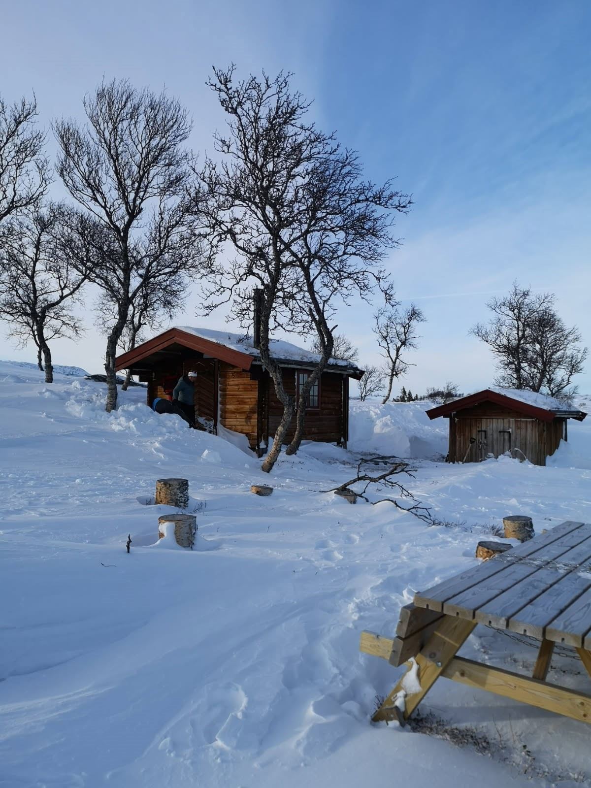 Koia på vinteren 