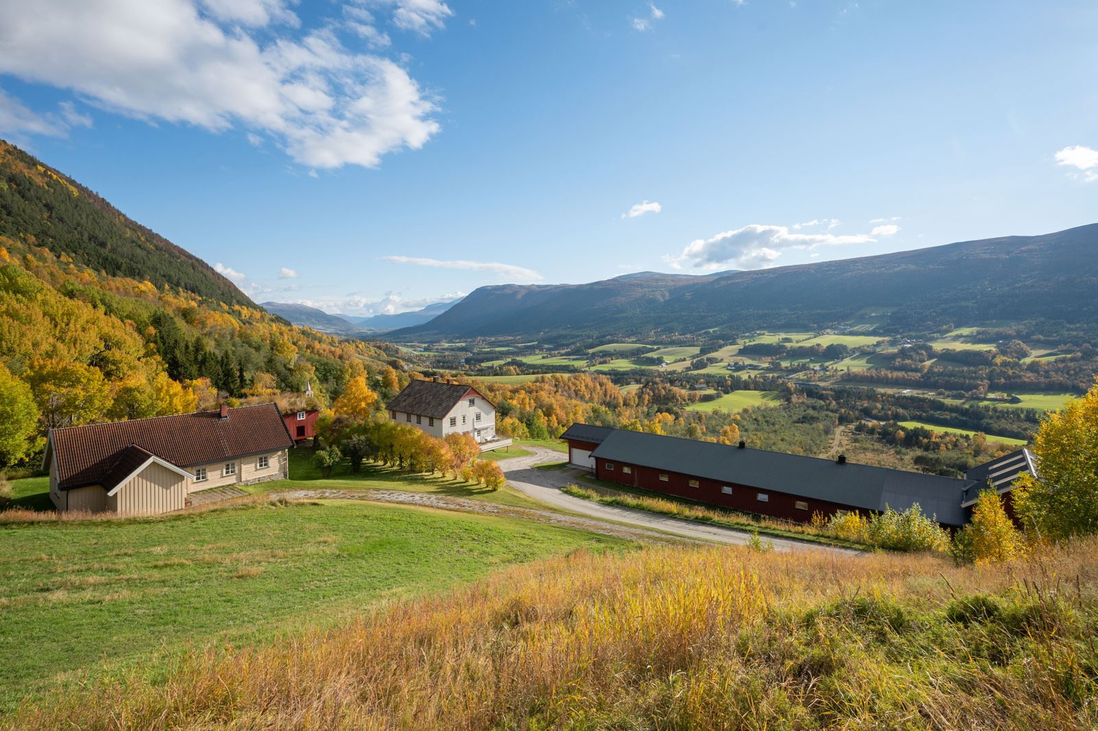 I Dombås sentrum, ca. 4 km unna, er det barnehage, barneskole, ungdomsskole og videregående.