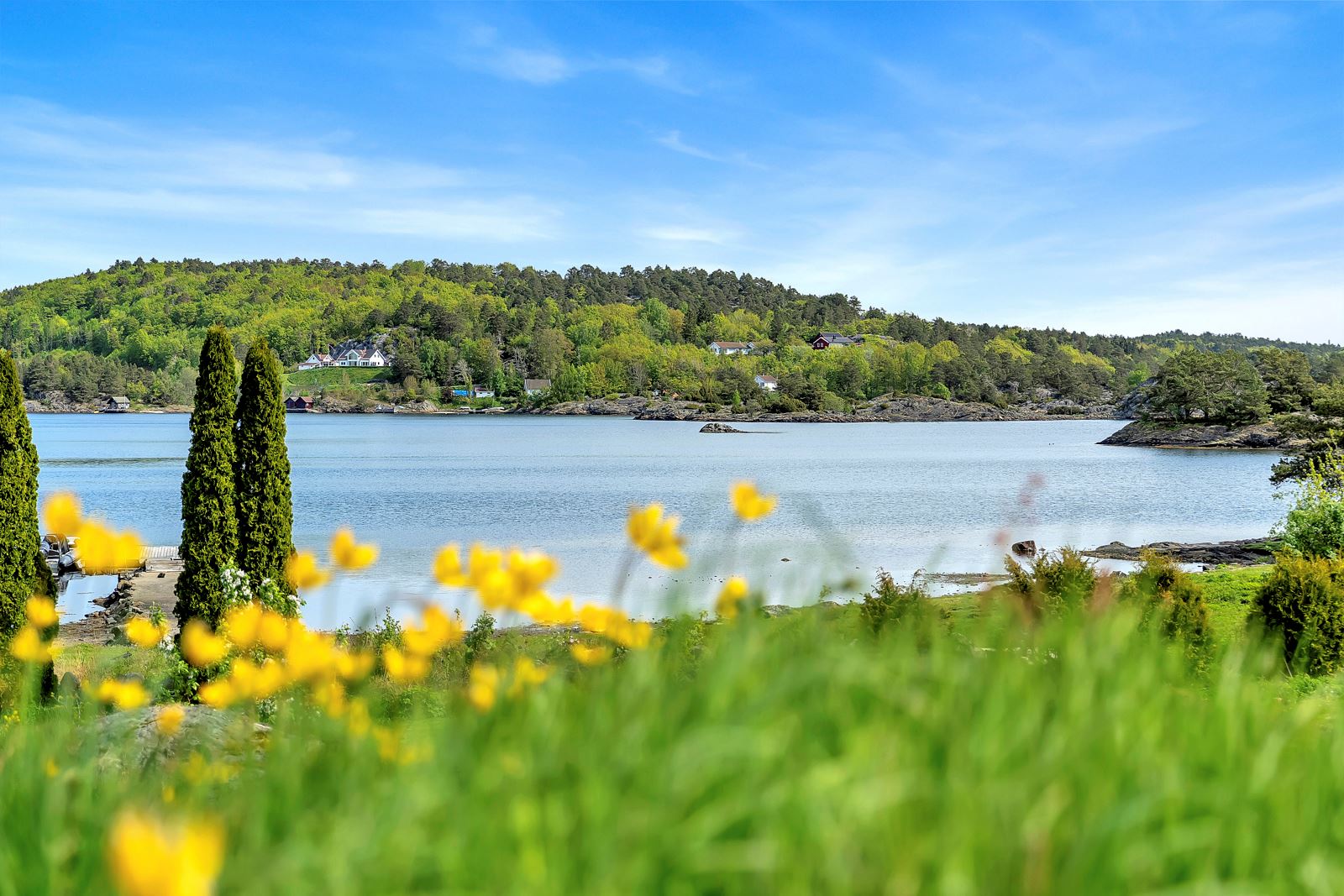 Fantastisk sørlandsnatur 
