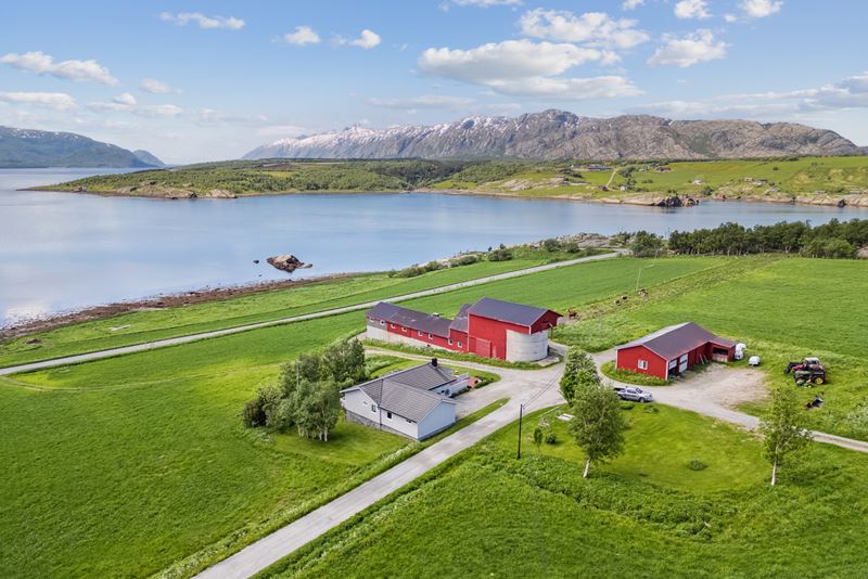 Gårdstun