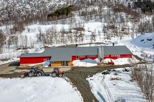 Bones samdrift disponerer melkekvote på 311 tonn