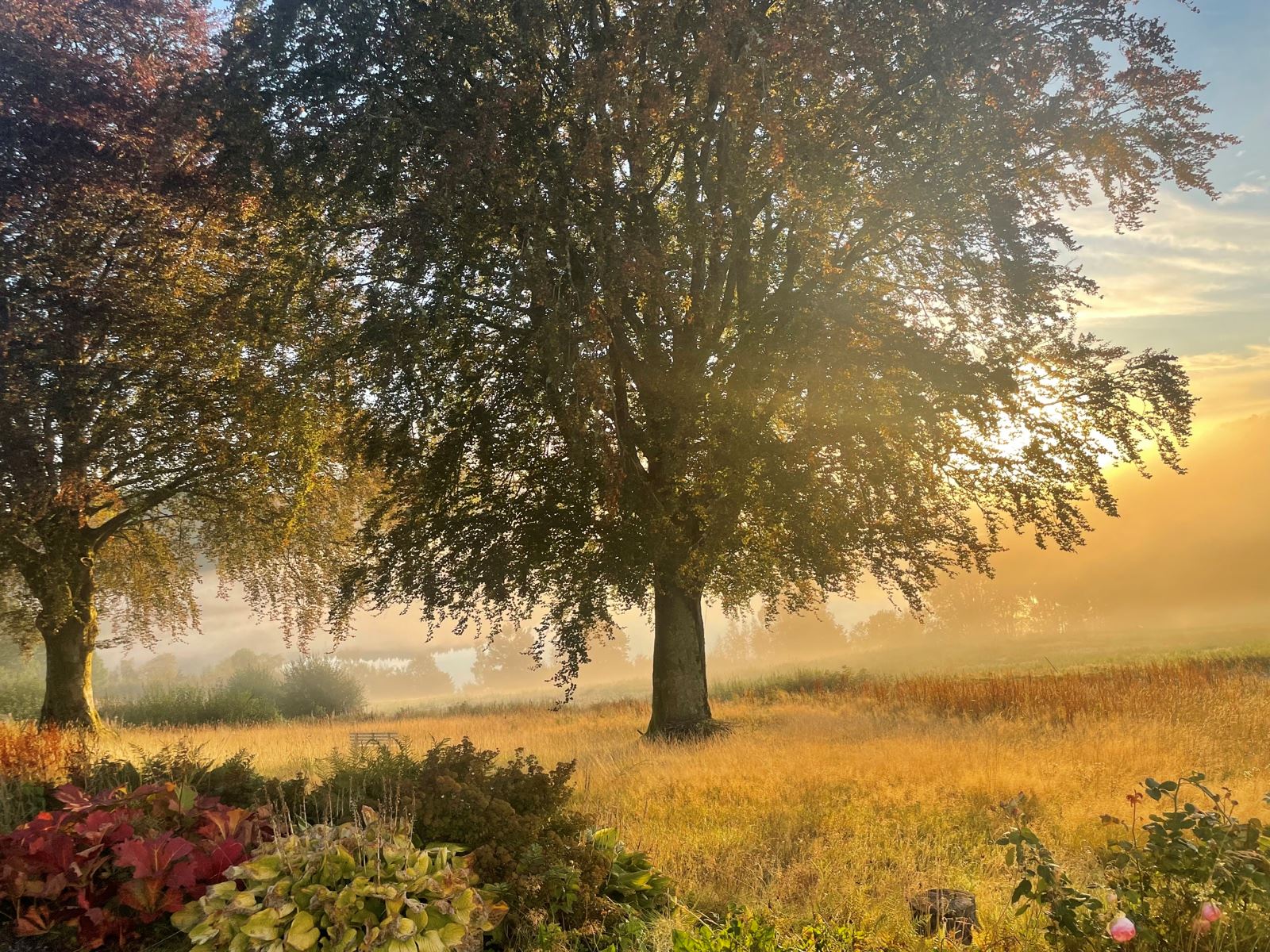01Fasade_54