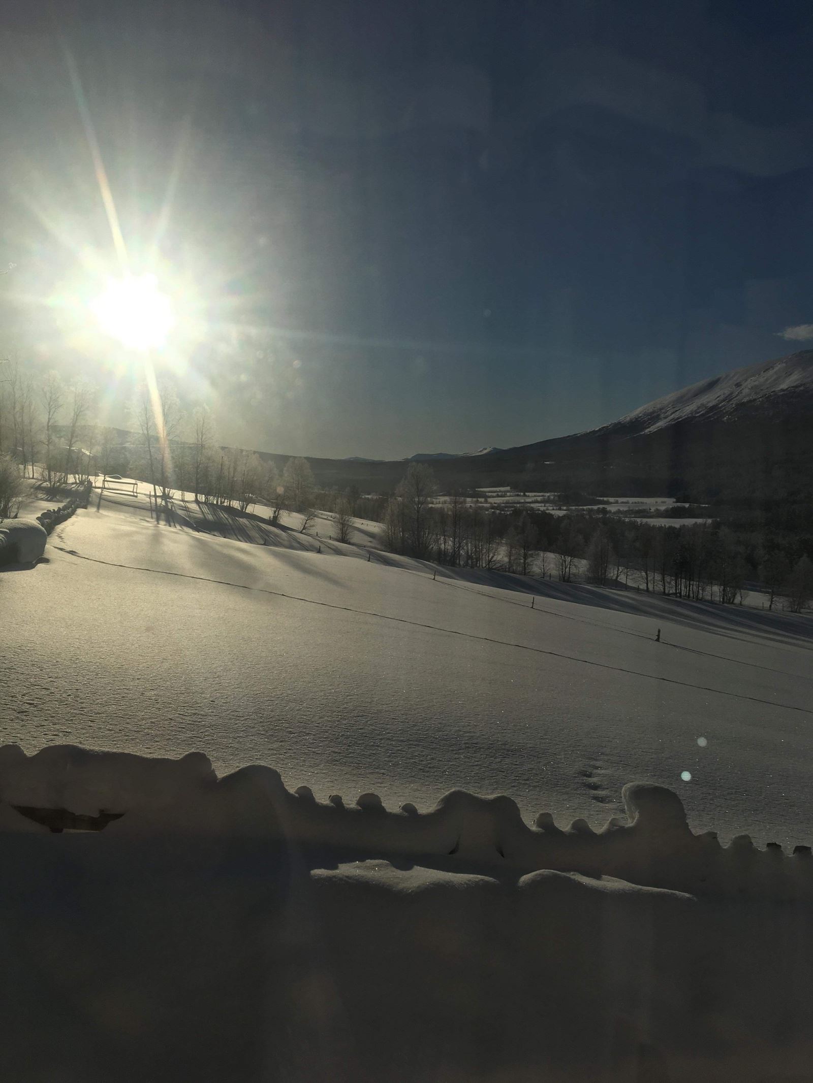 vinter