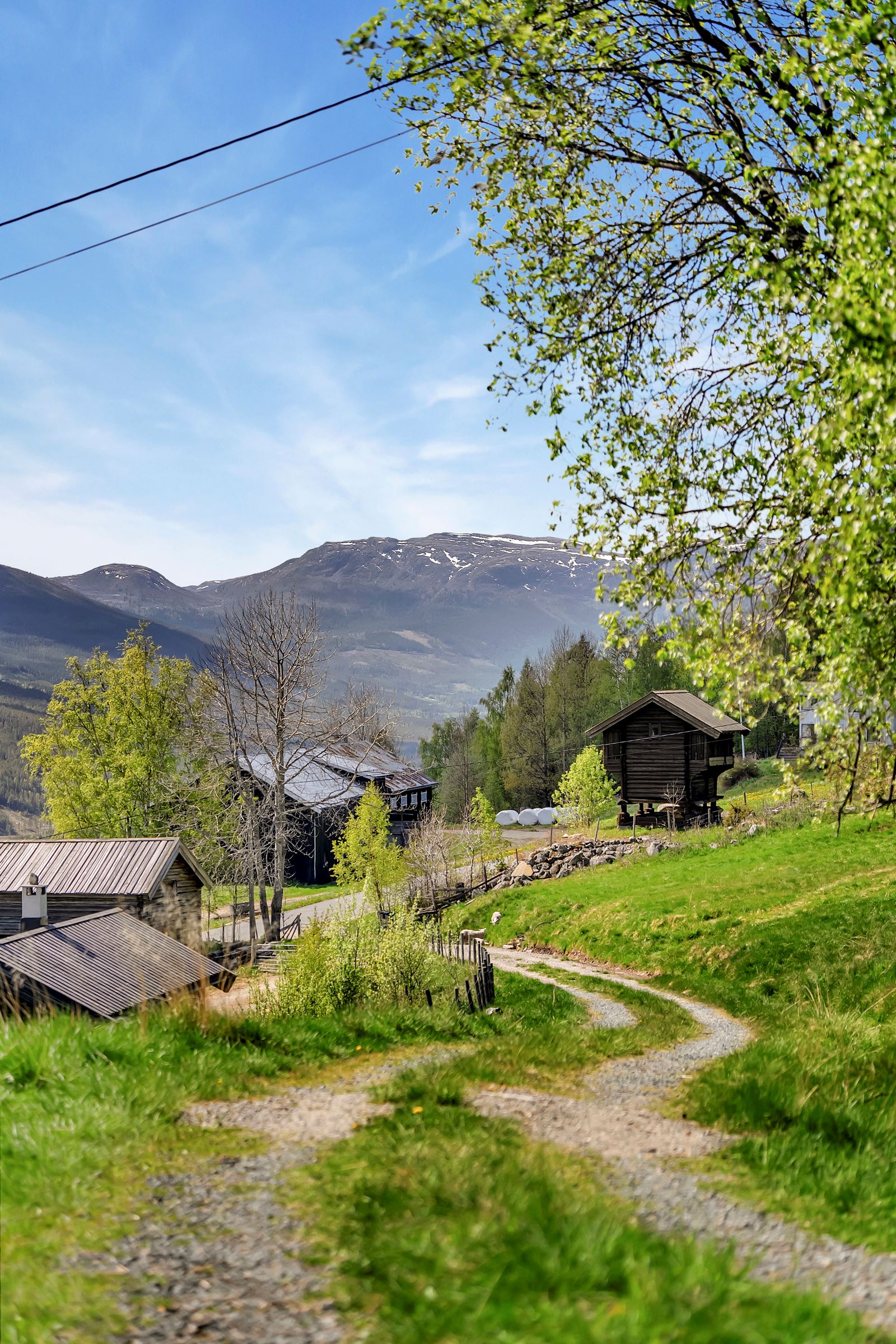 Karlsrudveien_5737