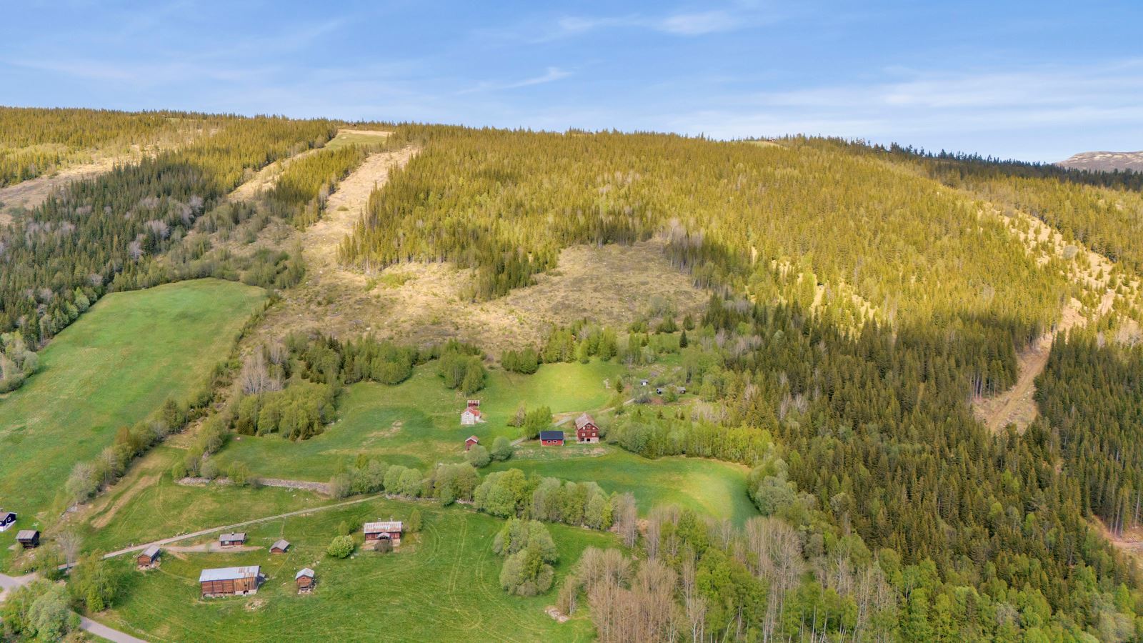 Vakkert tun i rolige omgivelser ? landlig beliggenhet med nærhet til skog og beiteområder.
