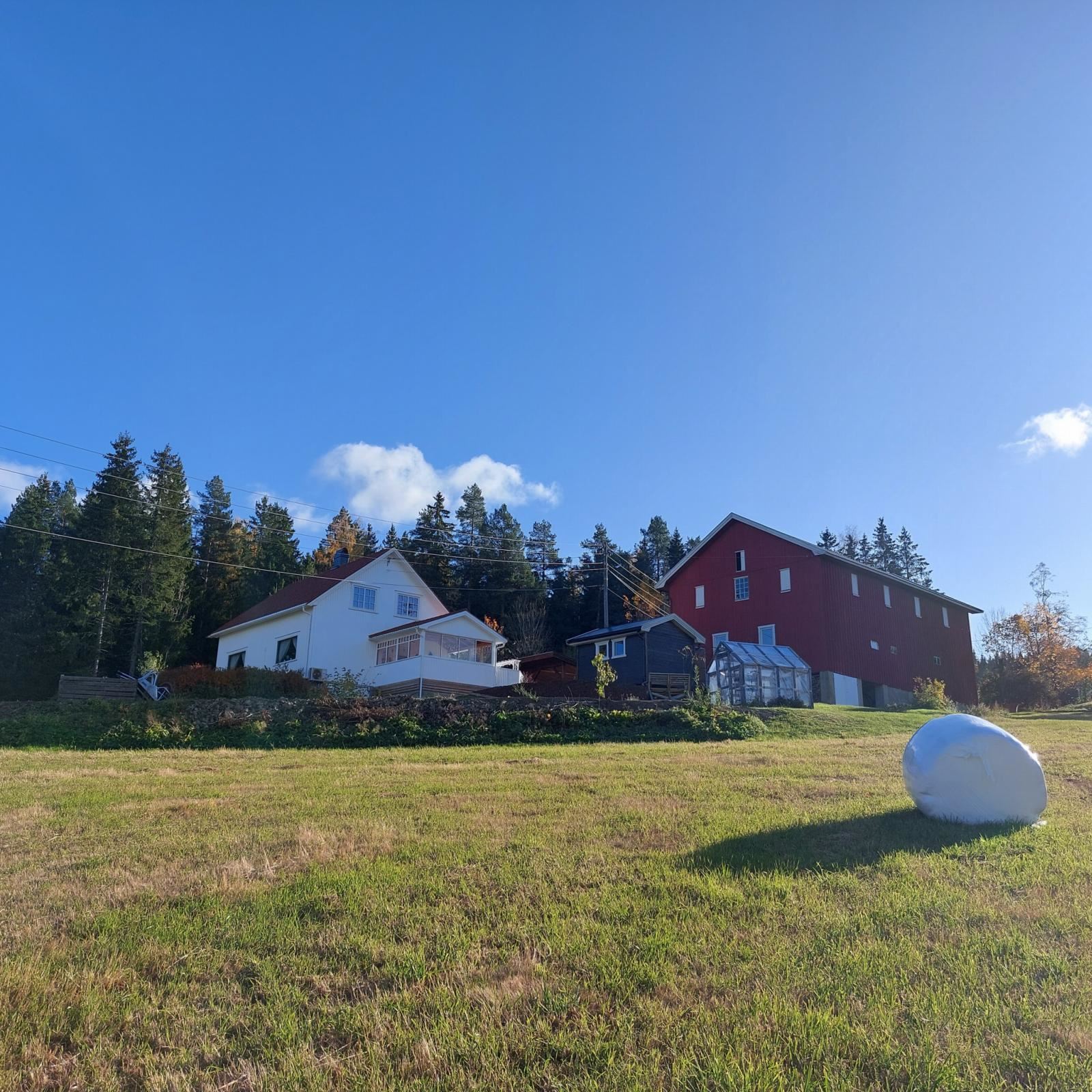 Tunet sett fra Sør