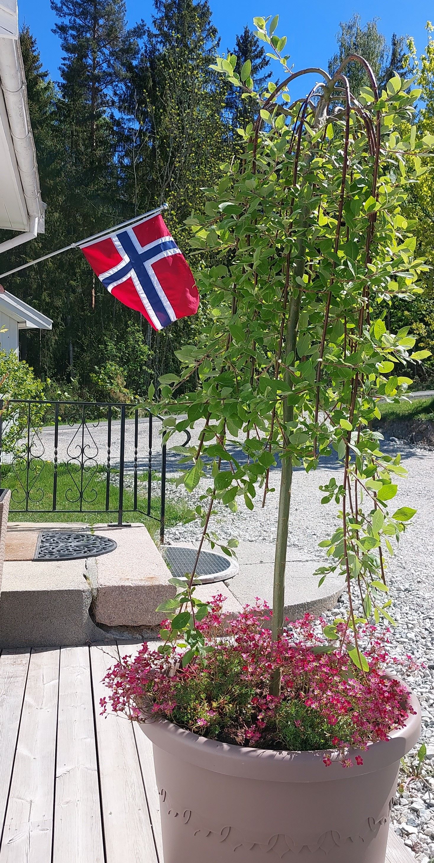 Nyt dagen i rødt, hvitt og blått