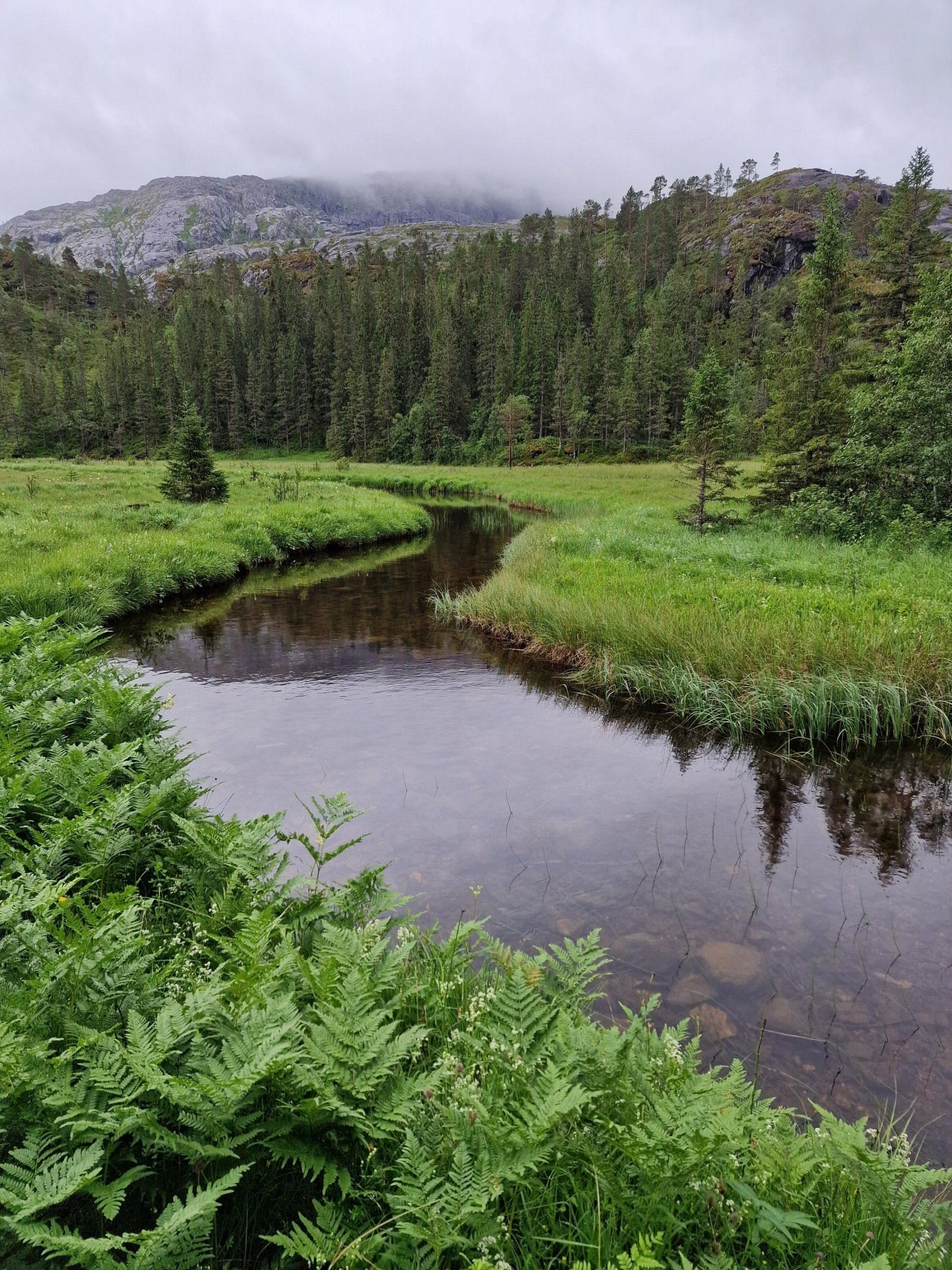 Åneselva