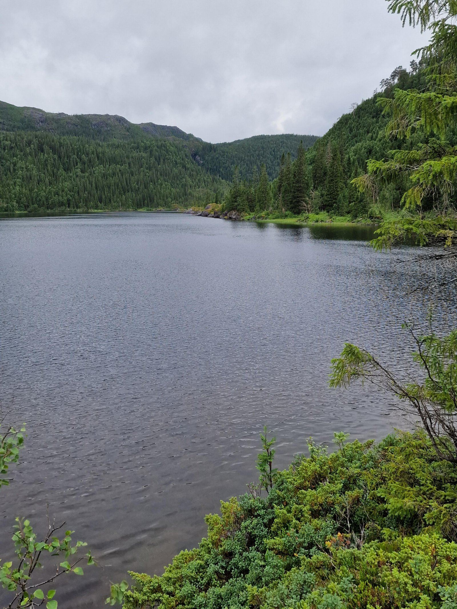 Ursvatnet