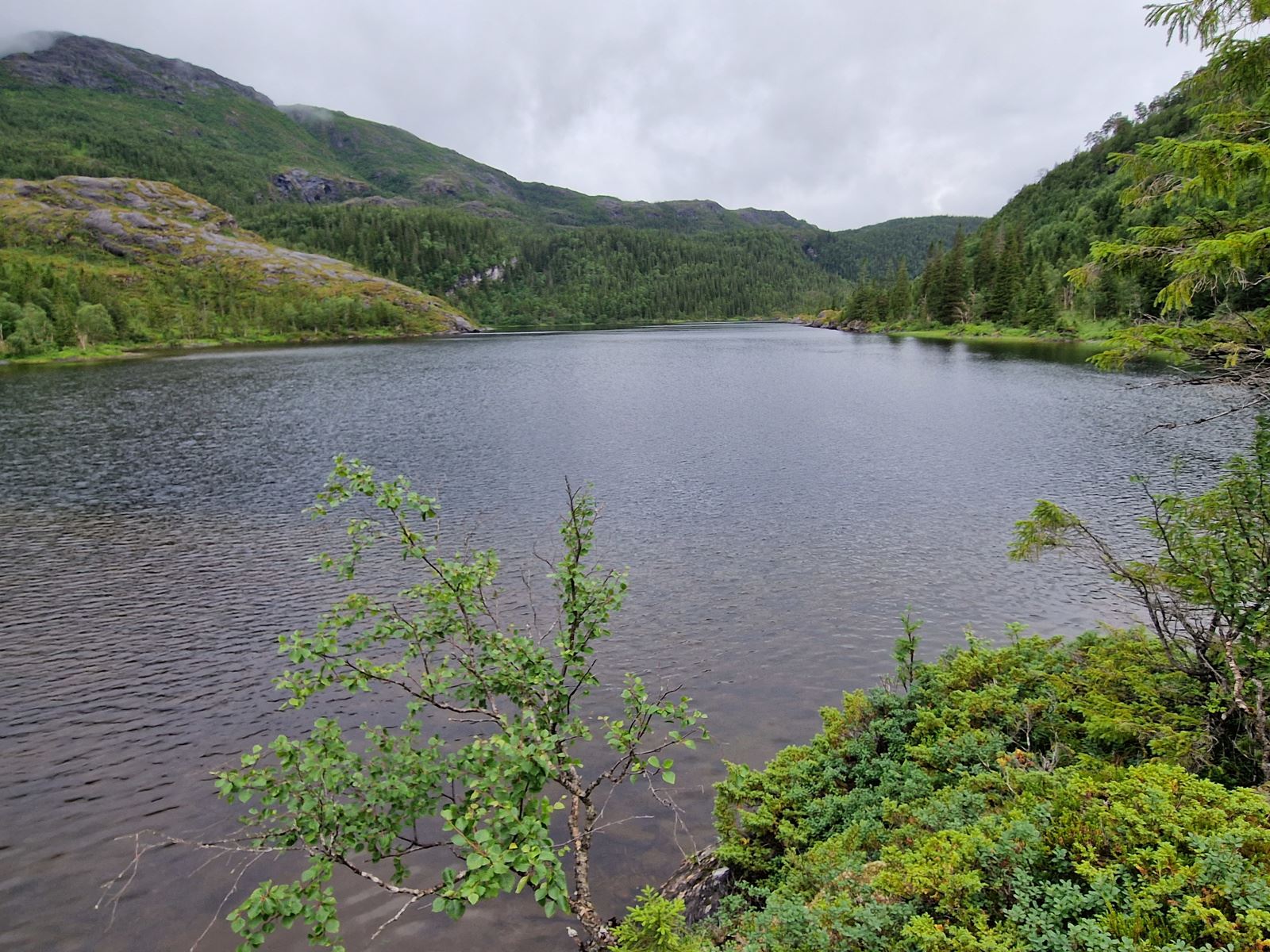 Ursvatnet