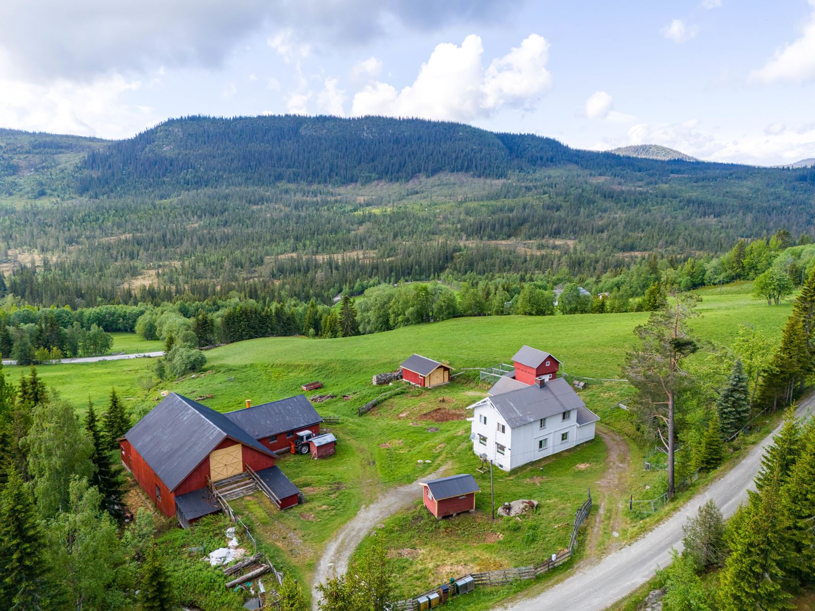 271884_DJI_20240528101916_0286_D