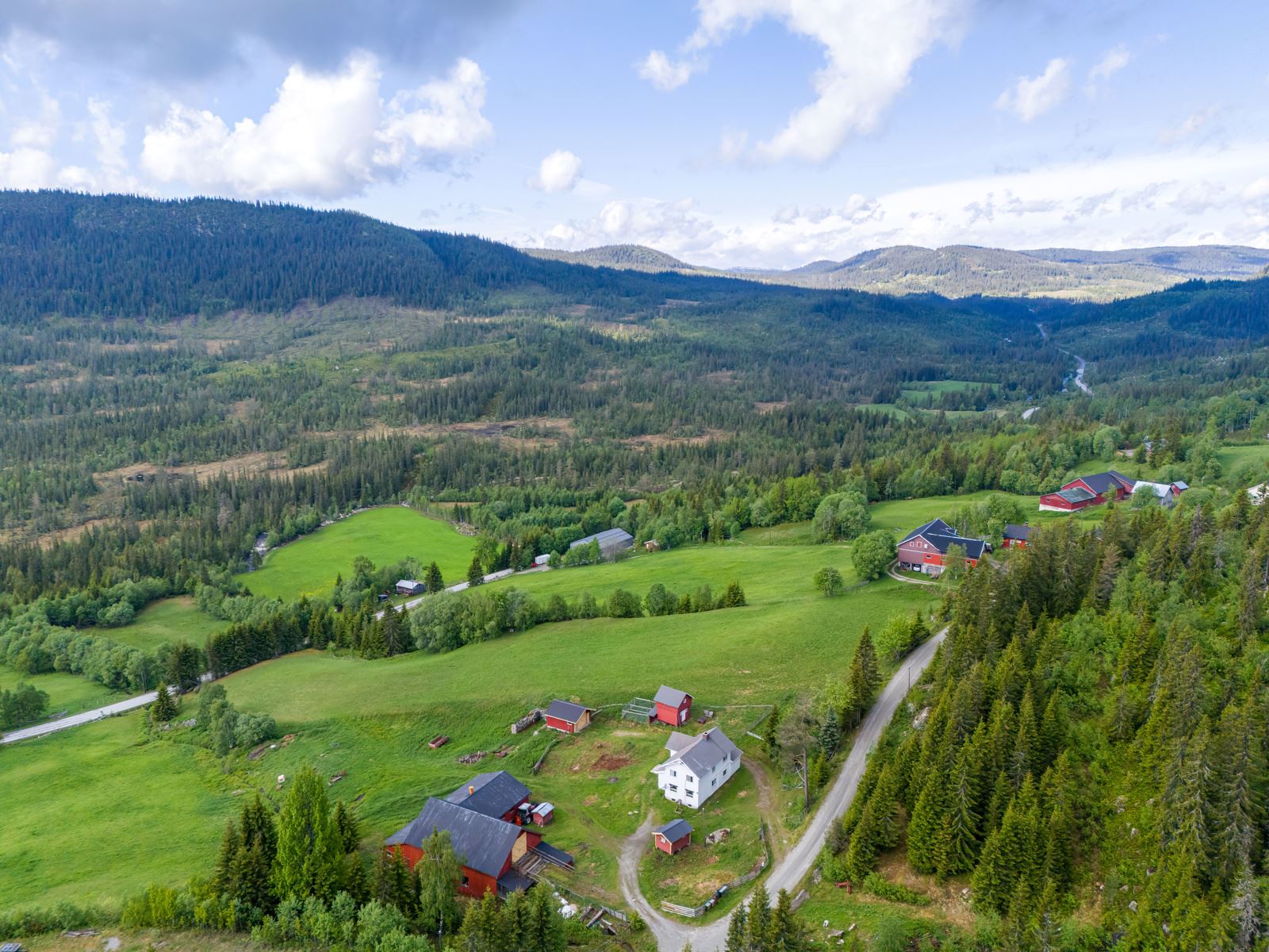271884_DJI_20240528101936_0291_D