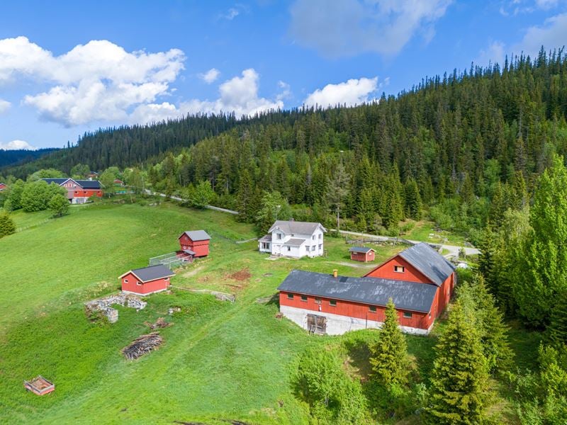 271884_DJI_20240528102203_0306_D