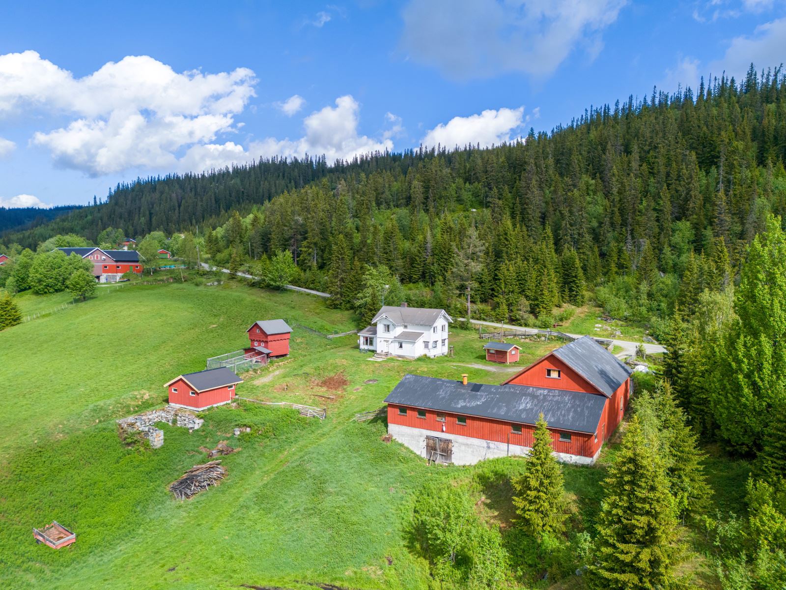 271884_DJI_20240528102203_0306_D