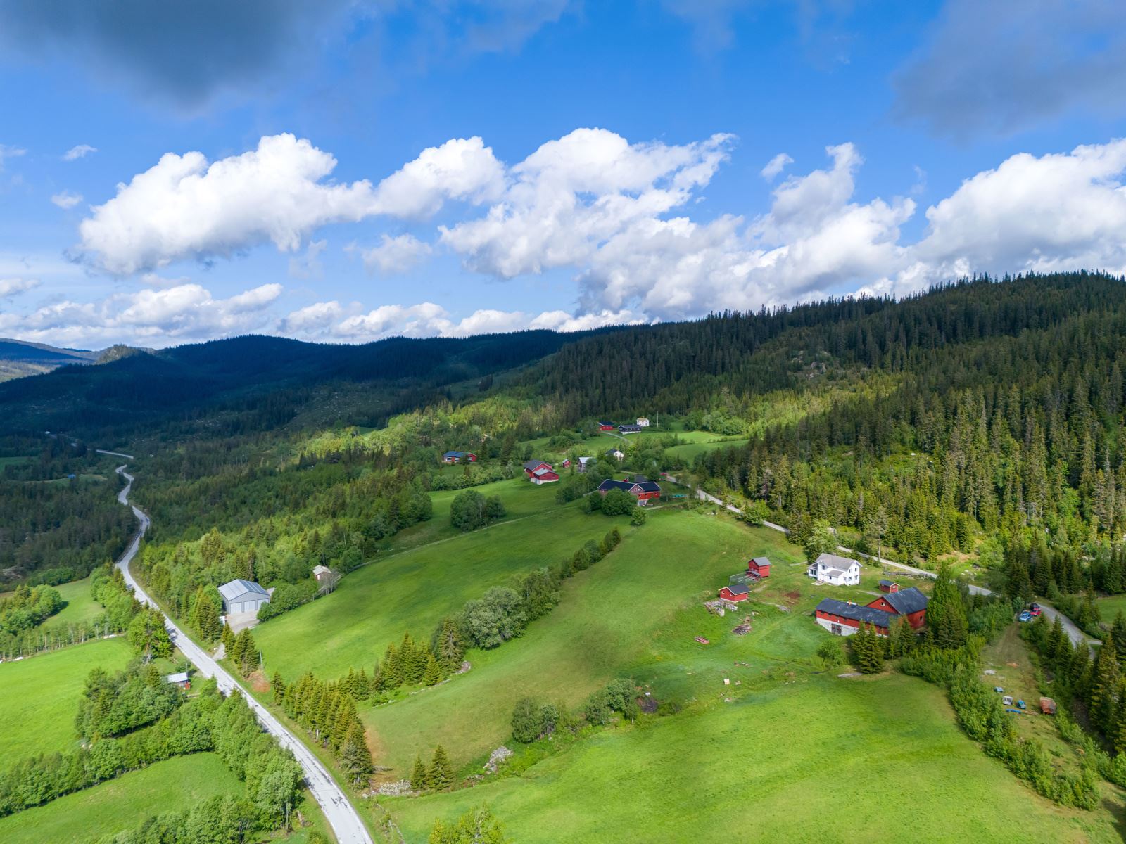 271884_DJI_20240528102234_0308_D
