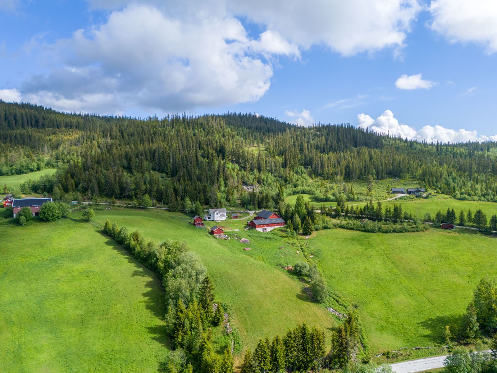 271884_DJI_20240528102308_0312_D