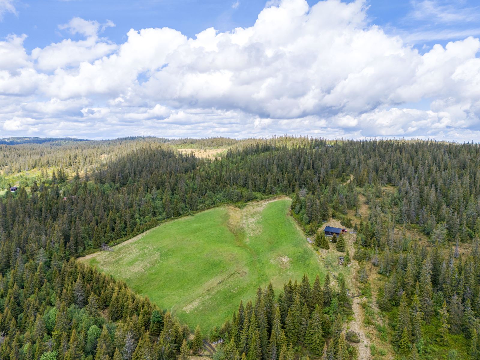 271884_DJI_20240528120022_0342_D