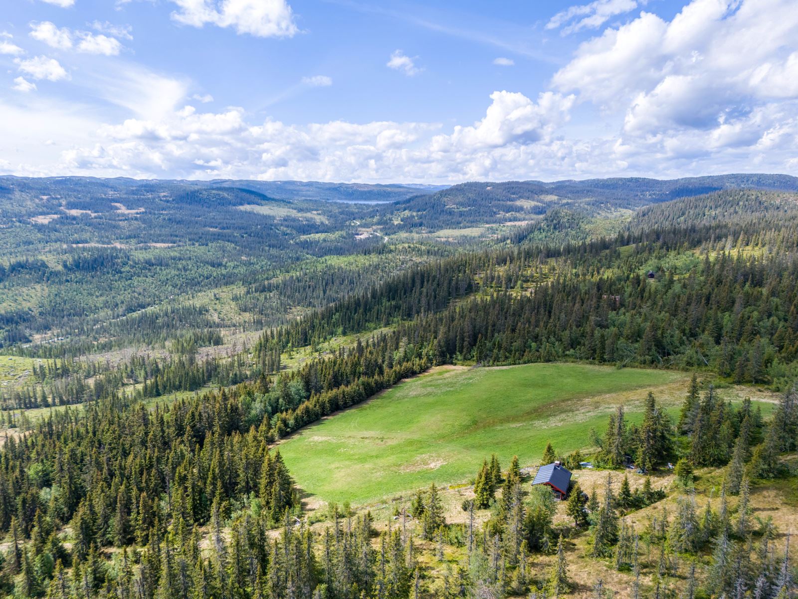 271884_DJI_20240528120115_0345_D